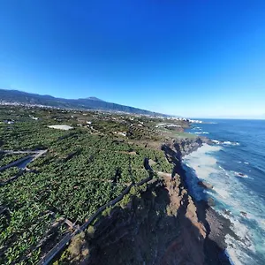 Papaya Paradise , La Orotava Spain